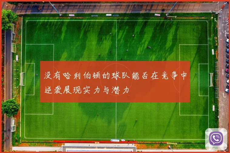 没有哈利伯顿的球队能否在竞争中逆袭展现实力与潜力