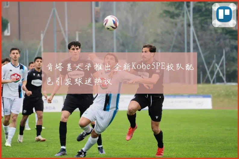 肯塔基大学推出全新Kobe5PE校队配色引发球迷热议