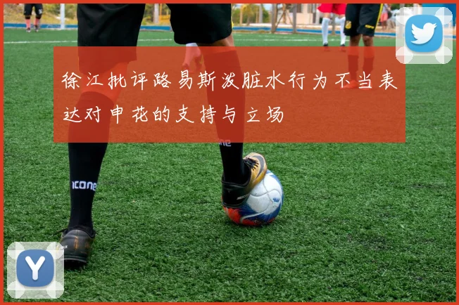 徐江批评路易斯泼脏水行为不当表达对申花的支持与立场