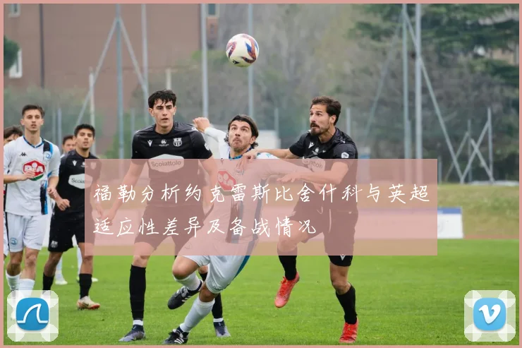 福勒分析约克雷斯比舍什科与英超适应性差异及备战情况